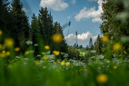 Meadow near Bozi Dar village in Krusne mountains after storm with white clouds