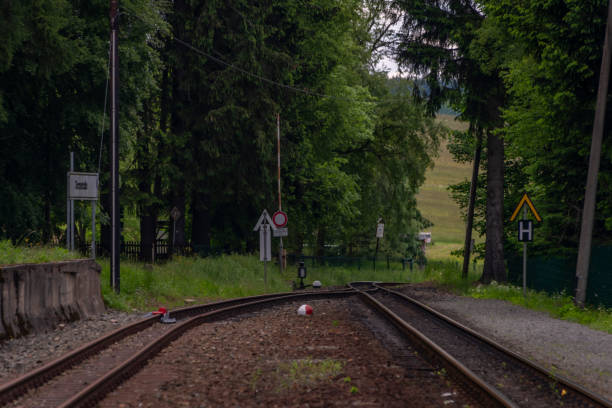 Railway tracks in summer cloudy fresh day near Neudorf in Germany