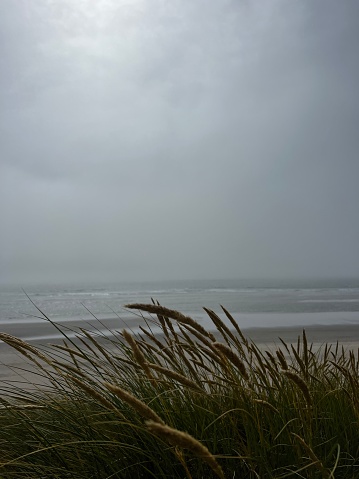 A view of a beach as the fog rolls in from the ocean