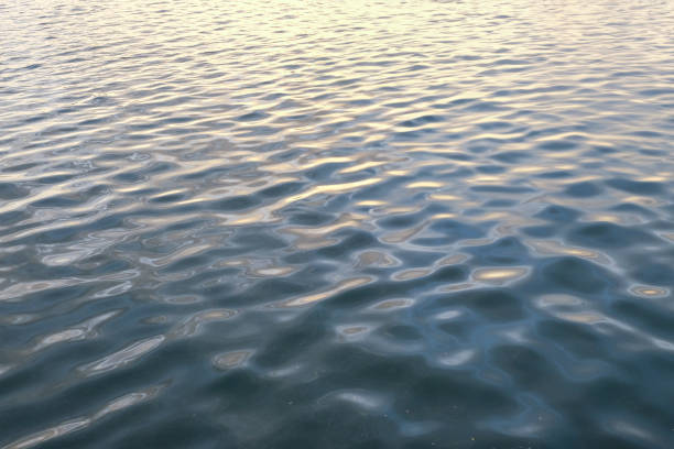 istock a large body of water with ripples 1587986077
