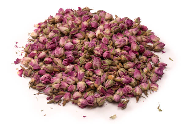 istock Dry tea roses isolated on white background. 1587989352