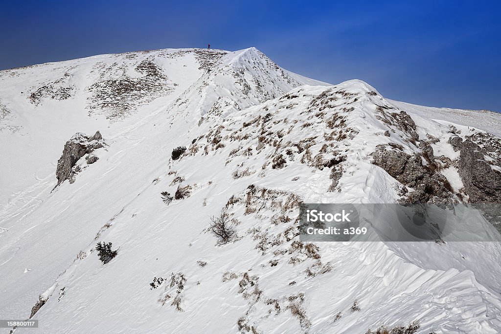 Neve Ridge - Foto stock royalty-free di Alpi