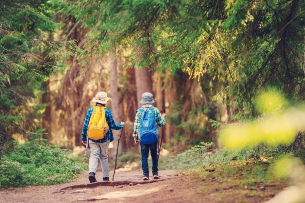 istock Two boys with backpacks hiking together in the wilderness forest. 1588014196