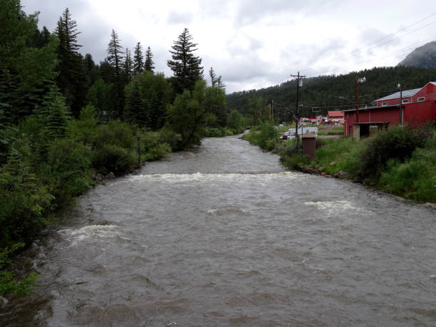 paesaggio del fiume e della foresta a bailey, colorado - mcgraw foto e immagini stock