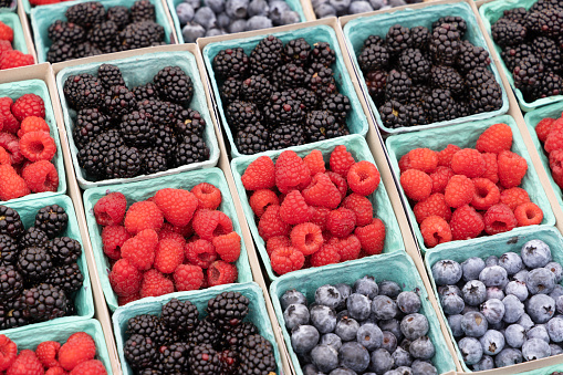 Blue paperboard boxes of freshly picked blueberries, blackberries and raspberries at a weekly farmers market on Cape Cod.