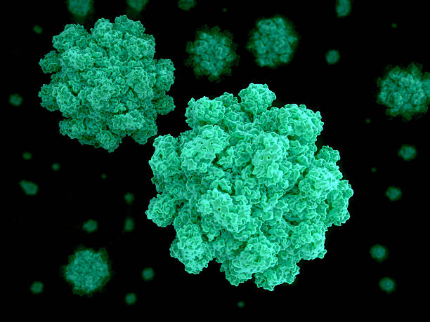 An in depth view of the Norovirus stock photo