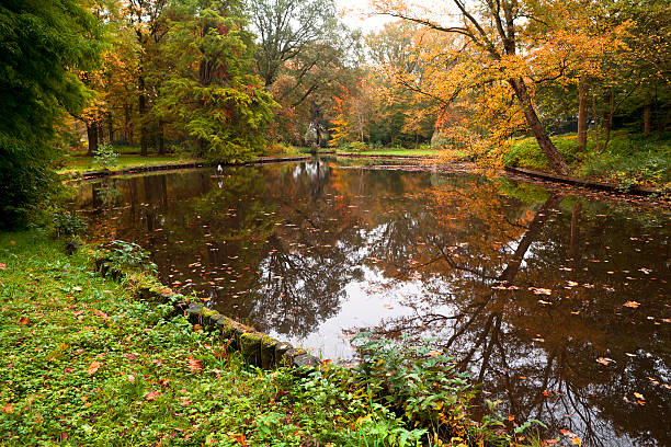 istock cozy pond and colorful trees in autumn 158805345