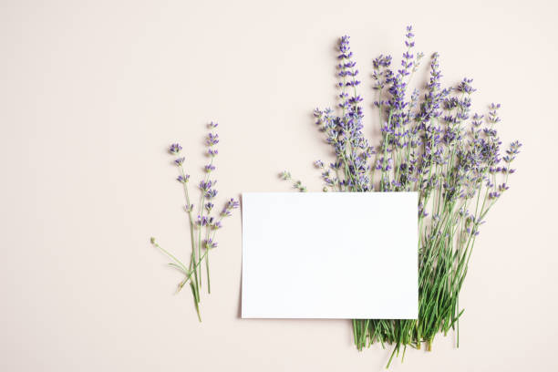 istock Blank card mockup, lavender on a beige background. 1588060734