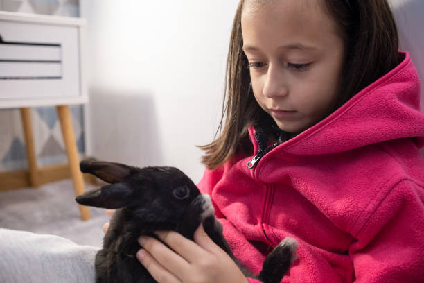 istock A little girl is playing with a black bunny. 1588069815