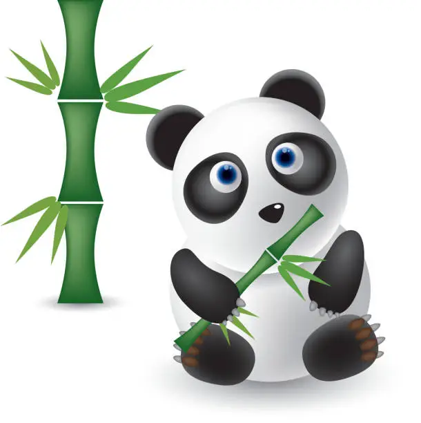 Vector illustration of Panda