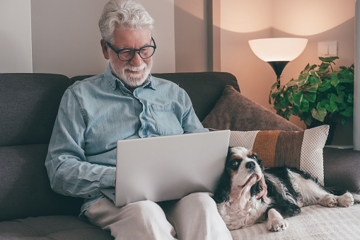 Senior man using laptop sitting on sofa at home close to his cavalier king charles dog. Elderly bearded retired male and pet therapy concept