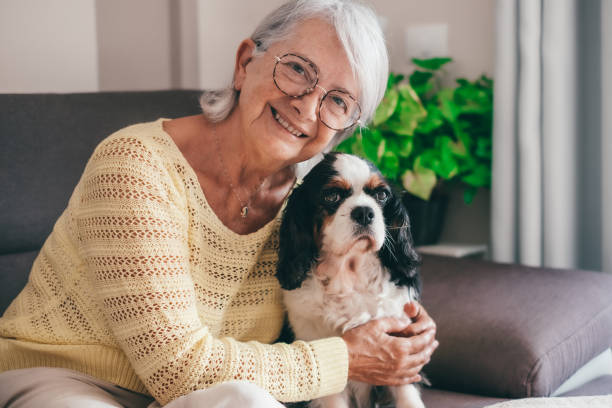 istock Smiling senior woman sitting on sofa at home while hugging her cavalier king charles spaniel dog. Elderly retired lady with her best friend looks into the camera 1588109996