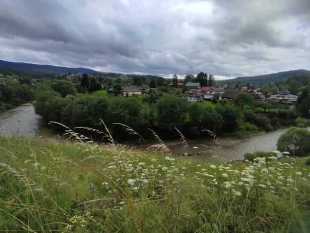 istock Carpathian mountains in summer, wonderful landscape 1588129252