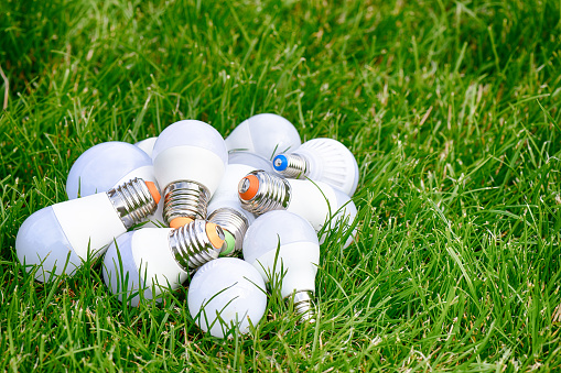LED lamp bulb on green grass. Energy saving. Green energy.