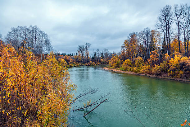 istock Autumn in Siberia 158817142