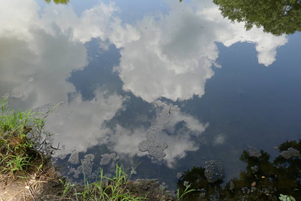 istock Water surface of pond with clouds in sky reflection 1588195674