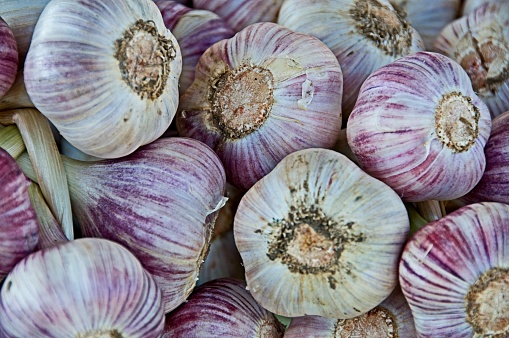 Garlic on Sale at a Farmers Market