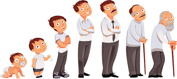 All age categories Generations men. All age categories - infancy, childhood, adolescence, youth, maturity, old age. Stages of development. Vector illustration categories vector stock illustrations