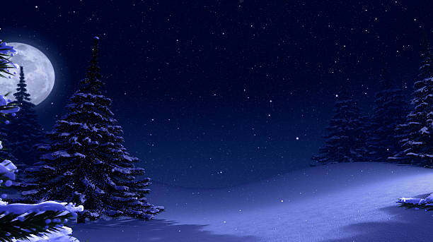 istock Winter landscape background with pine trees at night. 158821433