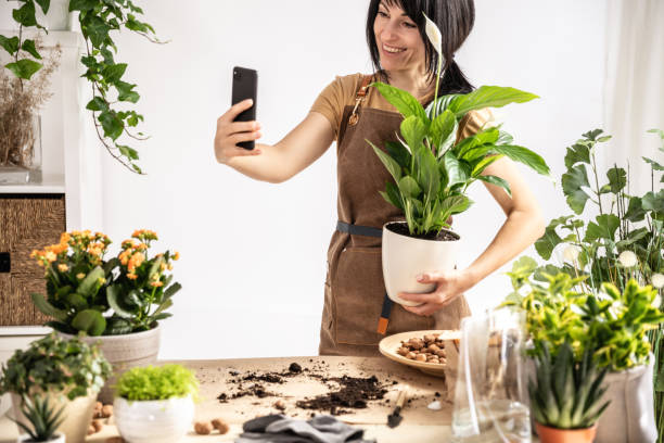 Female gardener using smartphone working at workshop transplantation houseplants