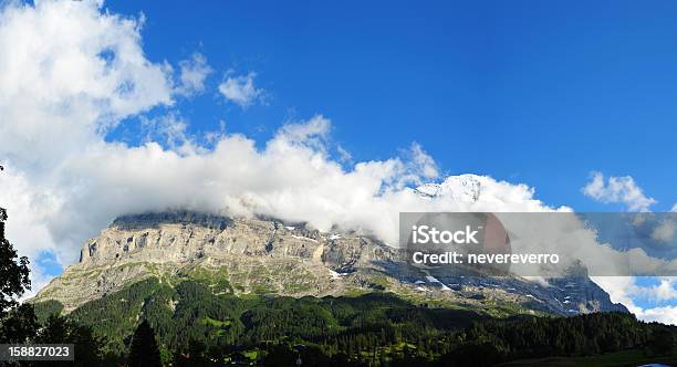 파노라마처럼 펼쳐지는 산 스위스 경관에 대한 스톡 사진 및 기타 이미지 - 경관, 계곡, 과꽃