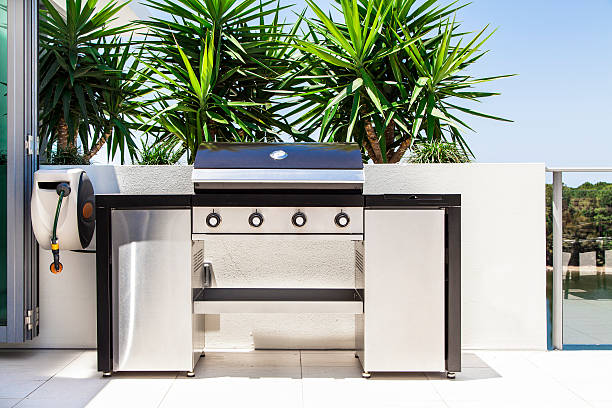 istock New double barbecue grill 158827311