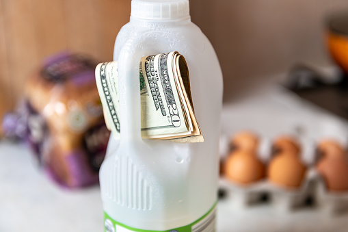 A cost of living, food inflation concept with a bundle of US Dollar bills tucked in the handle of a bottle of milk.