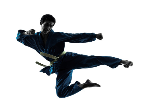 one asian man exercising karate vietvodao martial arts in silhouette studio on white background