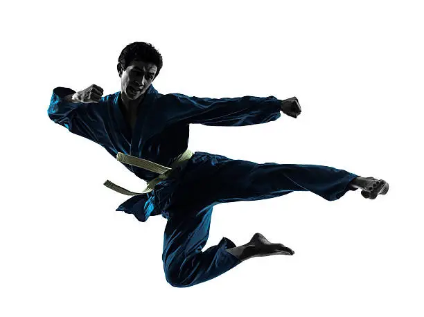 Photo of A silhouette of a karate master in a fly-kick pose