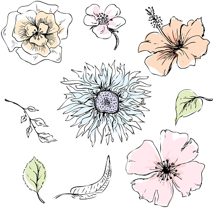 Hand-drawn flowers