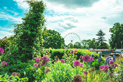 Garden at Stratford upon Avon