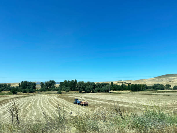 tracteur travaillant dans le domaine de l’agriculture - organic horizon over land horizontal crop photos et images de collection