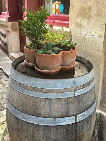 Barrel with flowers in a pot near a stone wall. Rustic style decor