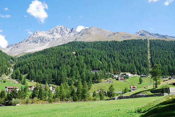 istock Alps in the Vinschgau 158834282