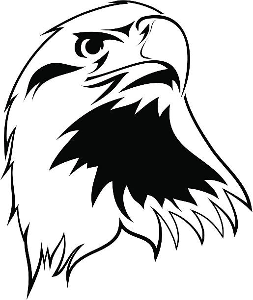 eagle head vector art illustration