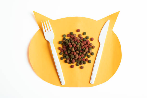 istock Dry Pet Food 1588368318