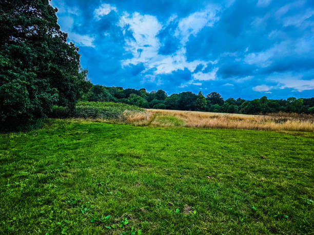 istock A grass field with trees in the background under the blue and cloudy sky 1588381026