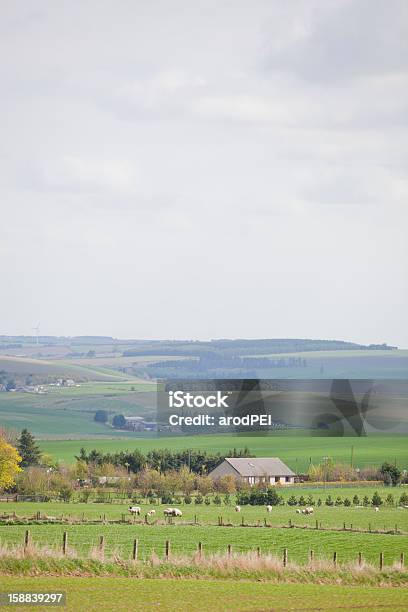 Scottish Countryside Stock Photo - Download Image Now - Aberdeenshire, Agricultural Field, Agriculture