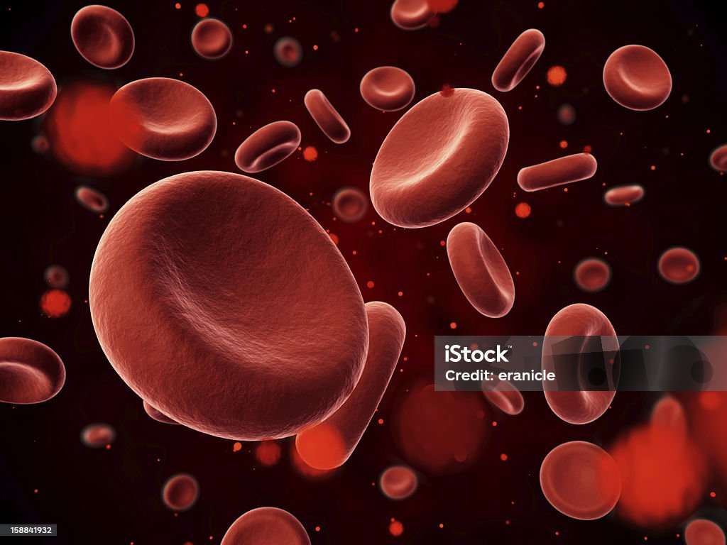 Erythrocyte - Foto de stock de Glóbulo Branco Humano royalty-free