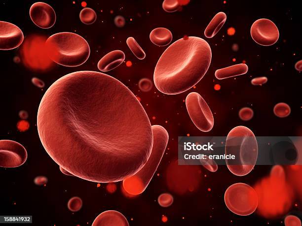 Foto de Erythrocyte e mais fotos de stock de Glóbulo Branco Humano - Glóbulo Branco Humano, Vermelho, Artéria