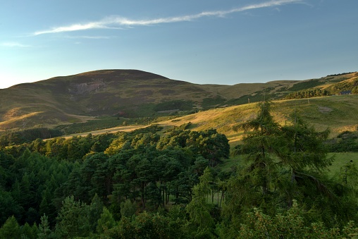 Panoramic view of the Pentland Hills with pine forest in the evening sun