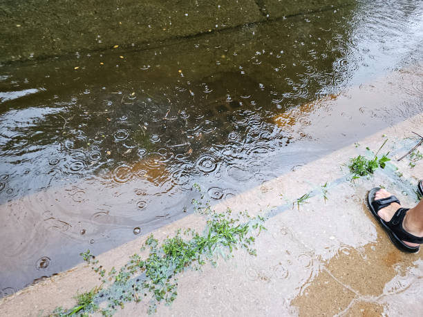 istock Flood Water on Road 1588457807