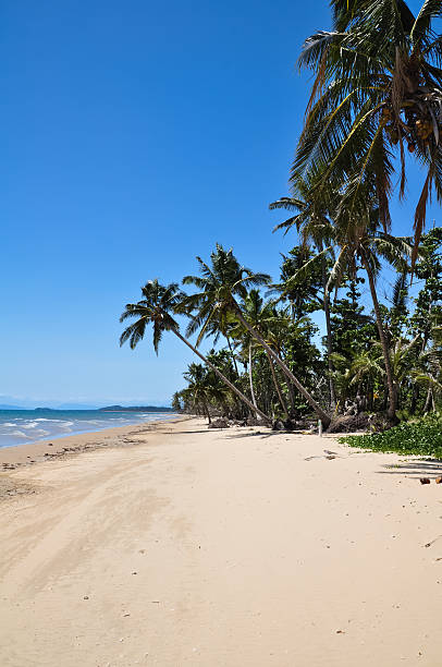 istock Mission Beach, Queensland, Australia 158849213