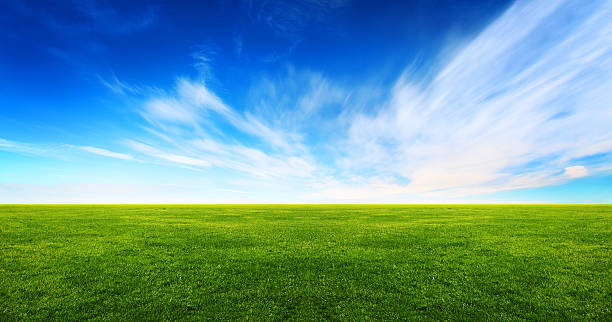 Wide image of green grass field and bright blue sky stock photo