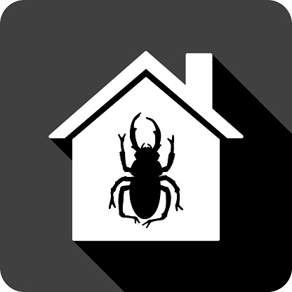 Vector illustration of a house with beetle icon against a black background in flat style.