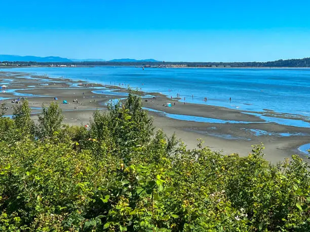White Rock, British-Columbia, Canada, view on the trees, beach, ocean, and sky, low tide, summer day