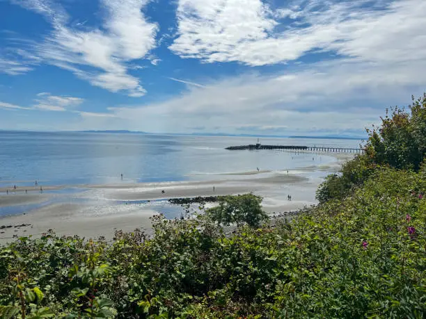 White Rock, British-Columbia, Canada, view on the pier, trees, beach, ocean, and sky, low tide, summer day