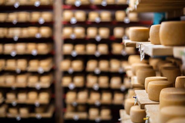 istock Milk cheese on a shelves 158854088