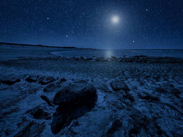 istock sea grass on coastal rocks at night 1588576840