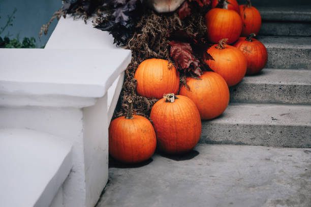 istock Autumn holiday pumpkin arrangement 1588582645